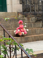 ARRANGEMENT
